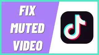 How To Fix A Muted Video On TikTok (2022)