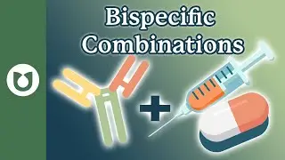 How are bispecific antibodies be used in combination with other anti Myeloma therapies?