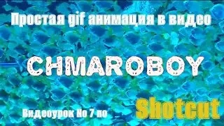 Простая gif анимация в видео в программе Shotcut.