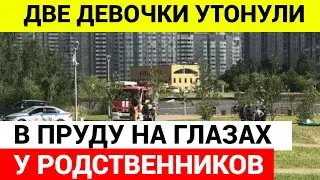 Две девочки утонули в пруду в Петергофе