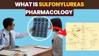 Sulfonylureas Pharmacology For Type 2 Diabetes