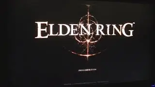 Games I've Been Playing (Elden Ring/Mordheim: City of the Damned)