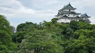 평일에 와카야마 성 보러... 일본 간사이 여행 끝! #일본  #여행