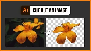 CUT OUT AN IMAGE in Adobe Illustrator - remove background (1 min tutorial)