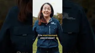 Они строят стены для рыб