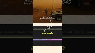 How to copy the colour grade from any videos in premiere pro 