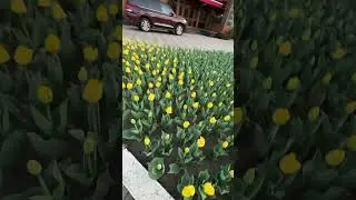 #кисловодск