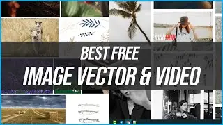 Best Websites to download free Image Vector and Video - 3 Best free download footage sites