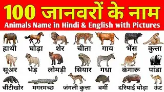 100 animals name in hindi and english  // 100 janavaron ke naam // janvaron ke naam // animals name