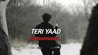 Teri Yaad  - Zixx MusicZ  | Prod. by @Strezy7