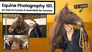 Horse Photography Basics: Equine Photography Safety, Terminology & Tips ft. 