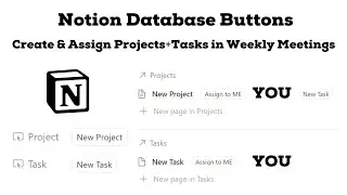 Notion Database Buttons: Create & Assign Projects and Tasks in Weekly Meetings