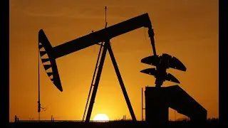 Нихон кэйдзай (Япония): эпоха нефти за 20 долларов. Страны откалываются от ОПЕК.