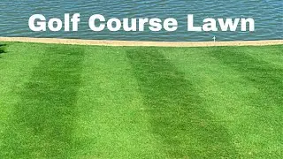 MOWING MY LAWN WITH A GOLF COURSE GREENS MOWER