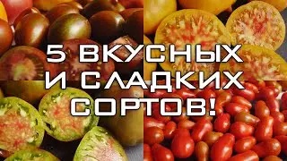 5 ВКУСНЫХ, СЛАДКИХ И УРОЖАЙНЫХ ТОМАТОВ! ТОЛЬКО ПРОВЕРЕННЫЕ СОРТА, КОТОРЫЕ ЗАХОЧЕТСЯ ПОВТОРИТЬ!