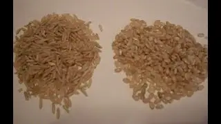 Rice 101-Grain Length and What it Means