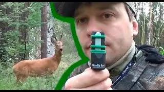 Духовой манок на косулю Нордик Рое (Nordik Roe) Испытание в поле. Самостоятельное обучение.