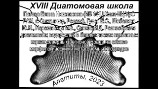 Разнообразие диатомовых водорослей в биологических почвенных корках северных регионов Урала на ос...