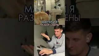 Успели посмотреть полный разбор на Твиче?) Вырезки со сценами есть для премиум подписчиков на Бусти)