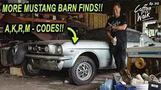 Barn Find: 4 Incredibly Rare Mustangs!!