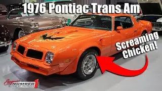 1976 Pontiac Trans Am - SCREAMING CHICKEN!