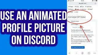 How To Use An Animated Profile Picture On Discord (Without Nitro)