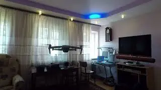 Дрон-мышелов: квадрокоптер на задании в четырех стенах