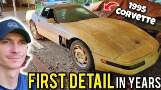 I Found a FILTHY Corvette Parked Outside & Detailed it Like New