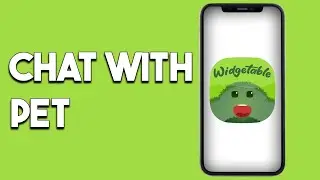 How To Chat With Pet In Widgetable