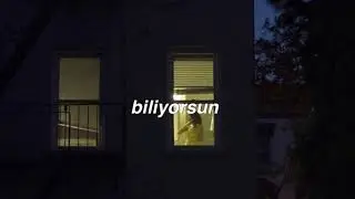 biliyorsun - sezen aksu | slowed + reverb + rain