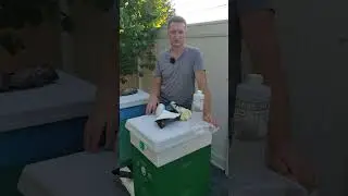 поджимаем и обрабатуем пчел от клеща