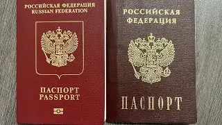 the two russian passports