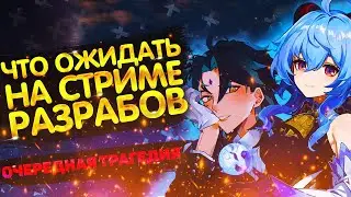 ЧТО ОЖИДАТЬ НА СТРИМЕ РАЗРАБОВ УЖЕ В ЭТУ ПЯТНИЦУ GENSHIN IMPACT 2.4 | СЯО | ГАНЬ ЮЙ | Геншин импакт