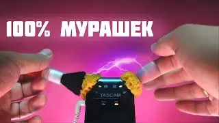 АСМР ДЛЯ УСТОЙЧИВЫХ К МУРАШКАМ!