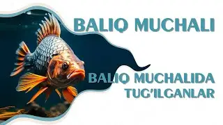 Baliq muchali - Baliq muchalida tug'ilganlar