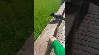 Галла Галиновна на летней "диете" :D
