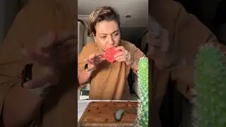 KARPUZ SANDVİÇ🍉 #shorts #karpuz #sandwich #viral #shortvideo #recipe #tarif #yemek #pratiktarifler