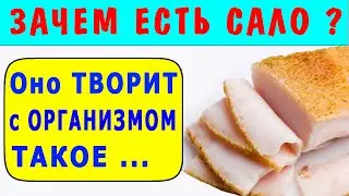 Зачем ЕСТЬ САЛО Пожилым и Молодым - Польза Сала для Организма