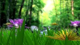 Animated Grass Background Video Effects Nature