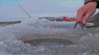 Пробурил лунку и кивок загнуло. Жор в глухозимье на водохранилище. Рыбалка в феврале 2023!