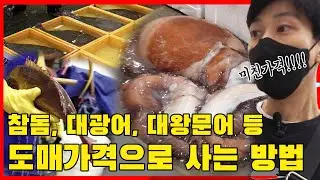 참돔을 도매가격으로 ✨초저렴하게✨ 사는 방법👍 (feat.노량진도매수산시장)