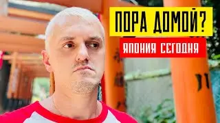 11 ЛЕТ В ЯПОНИИ | Как относятся к иностранцам? ENG SUB