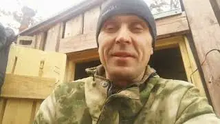 Ещё одна ночь на болоте.