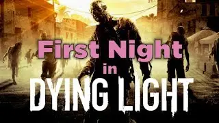 First Night in Dying Light