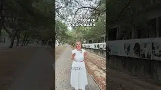 Геленджик. Август. Новости  #shots #shorts