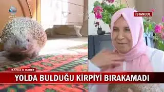 Evde Kirpi Beslenir mi? Kayseri