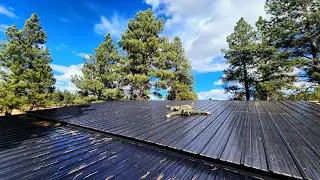 Post-Frame Barn Roof