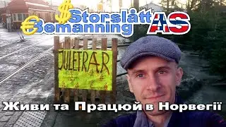 Робота в Осло для росіян: продаж новорічних ялинок