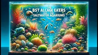 🌿 Best Algae Eaters Saltwater 🐟 | Tetra AlguMin - Quickly Combats All Types Of Algae In The Aquarium