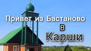 ВИДЕО-ПРИВЕТ ИЗ БАСТАНОВО!#лето #природа #березы